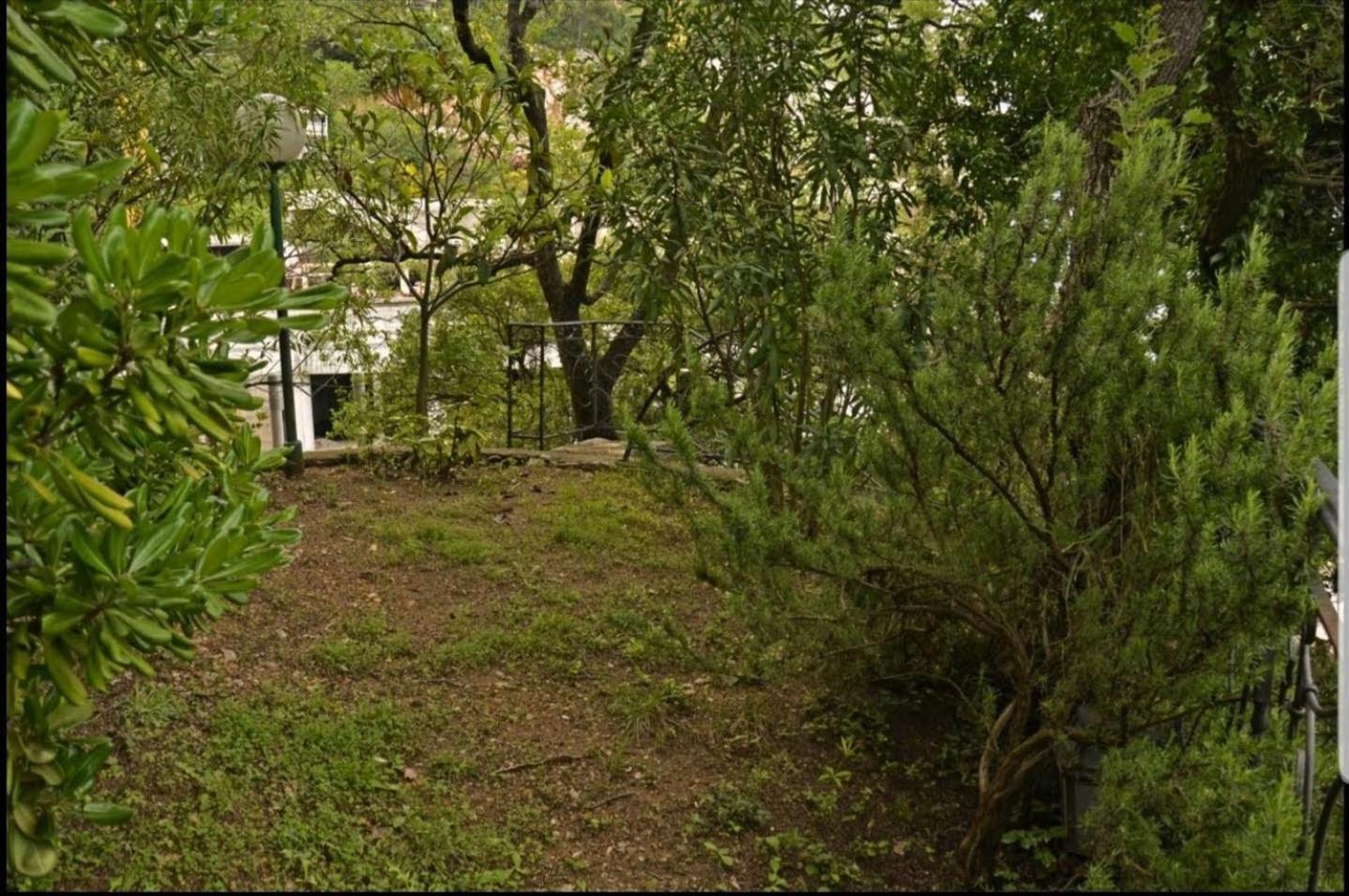Nerina Apartment Petrovac Zewnętrze zdjęcie